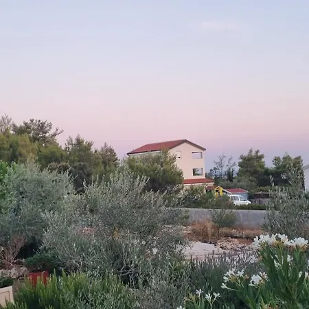 Torovi - Pool Oasis Vir