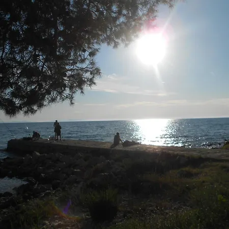 Torovi - Pool Oasis *