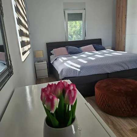 Torovi - Pool Oasis Vir