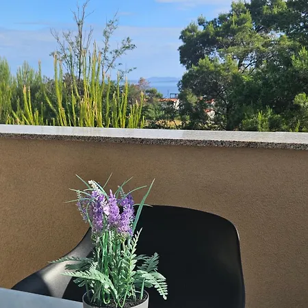 Torovi - Pool Oasis * Vir