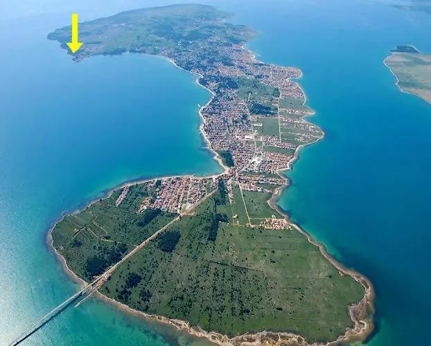 Torovi - Pool Oasis * Vir