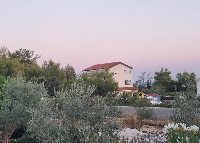 Torovi - Pool Oasis Vir