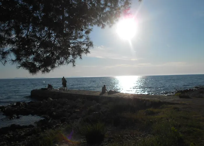 Torovi - Pool Oasis *