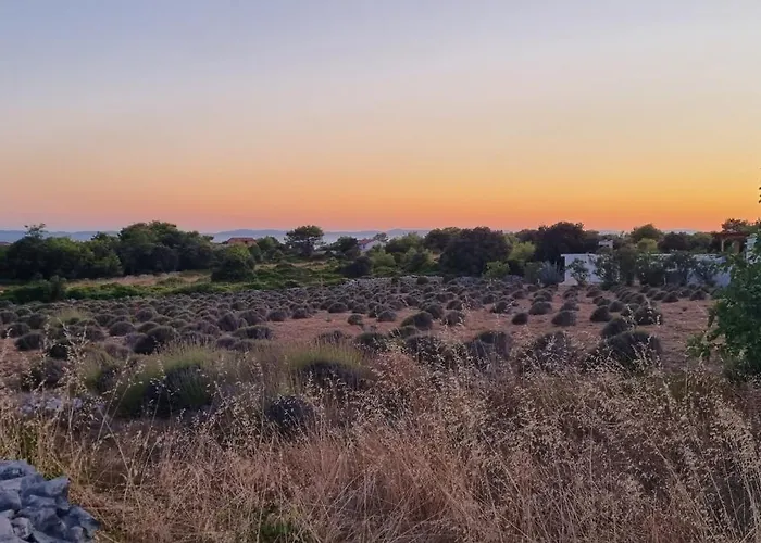 Torovi - Pool Oasis Apartmán *