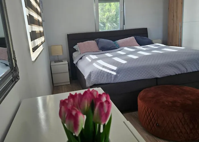 Torovi - Pool Oasis Vir