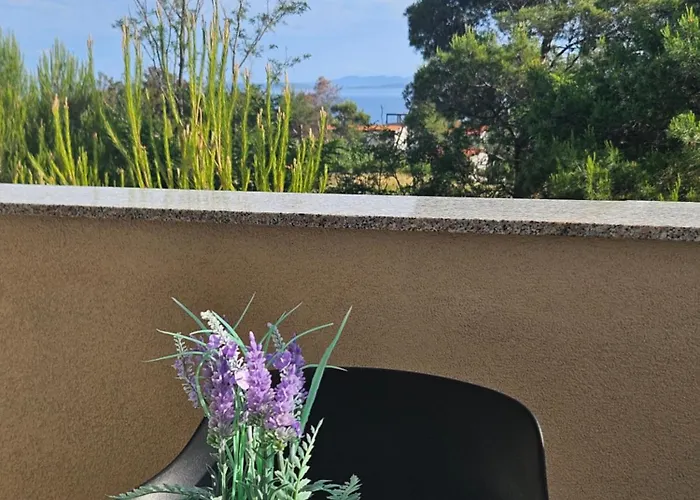 Torovi - Pool Oasis * Vir